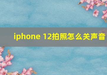 iphone 12拍照怎么关声音